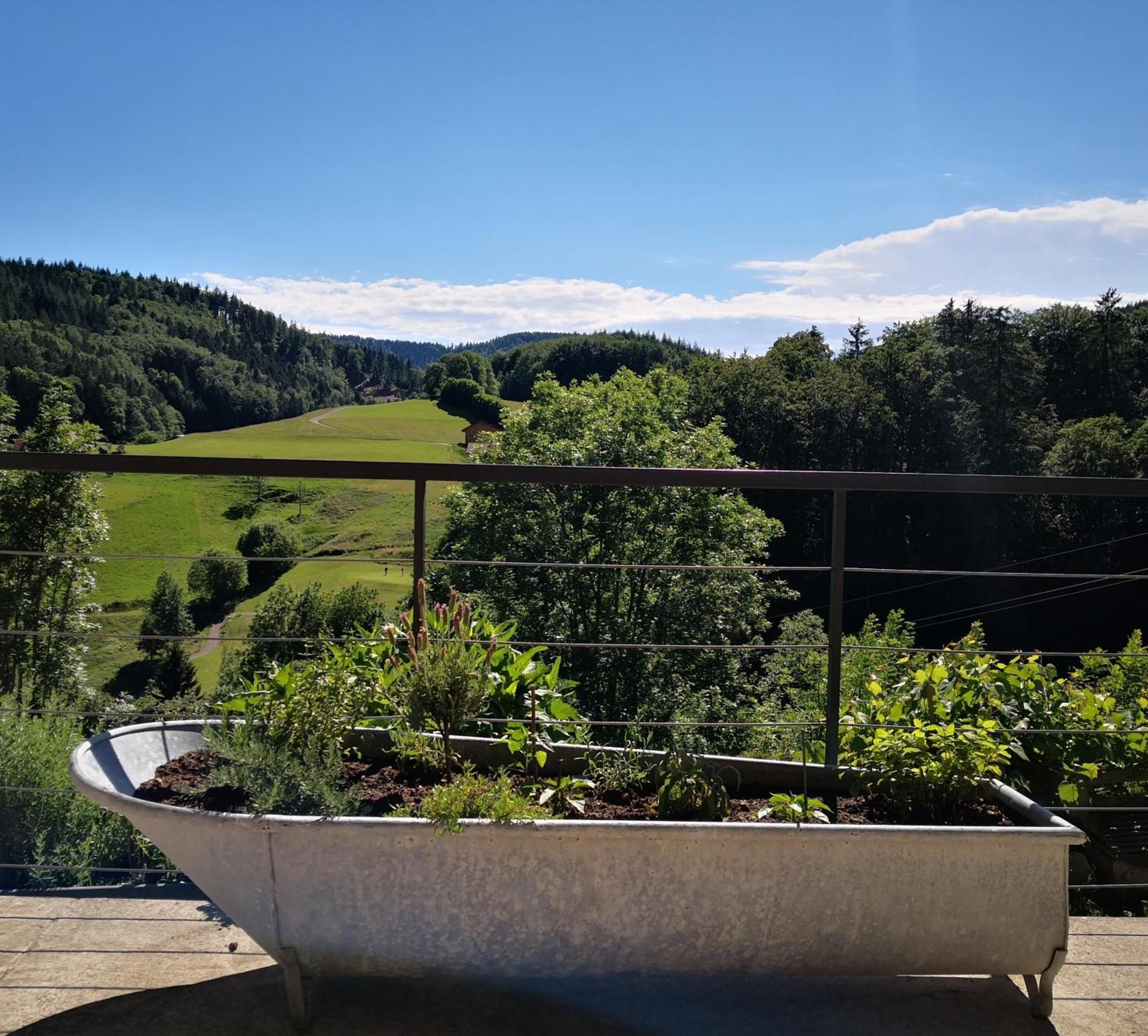 Ferienwohnung Belchenliebe Schonenberg Buitenkant foto