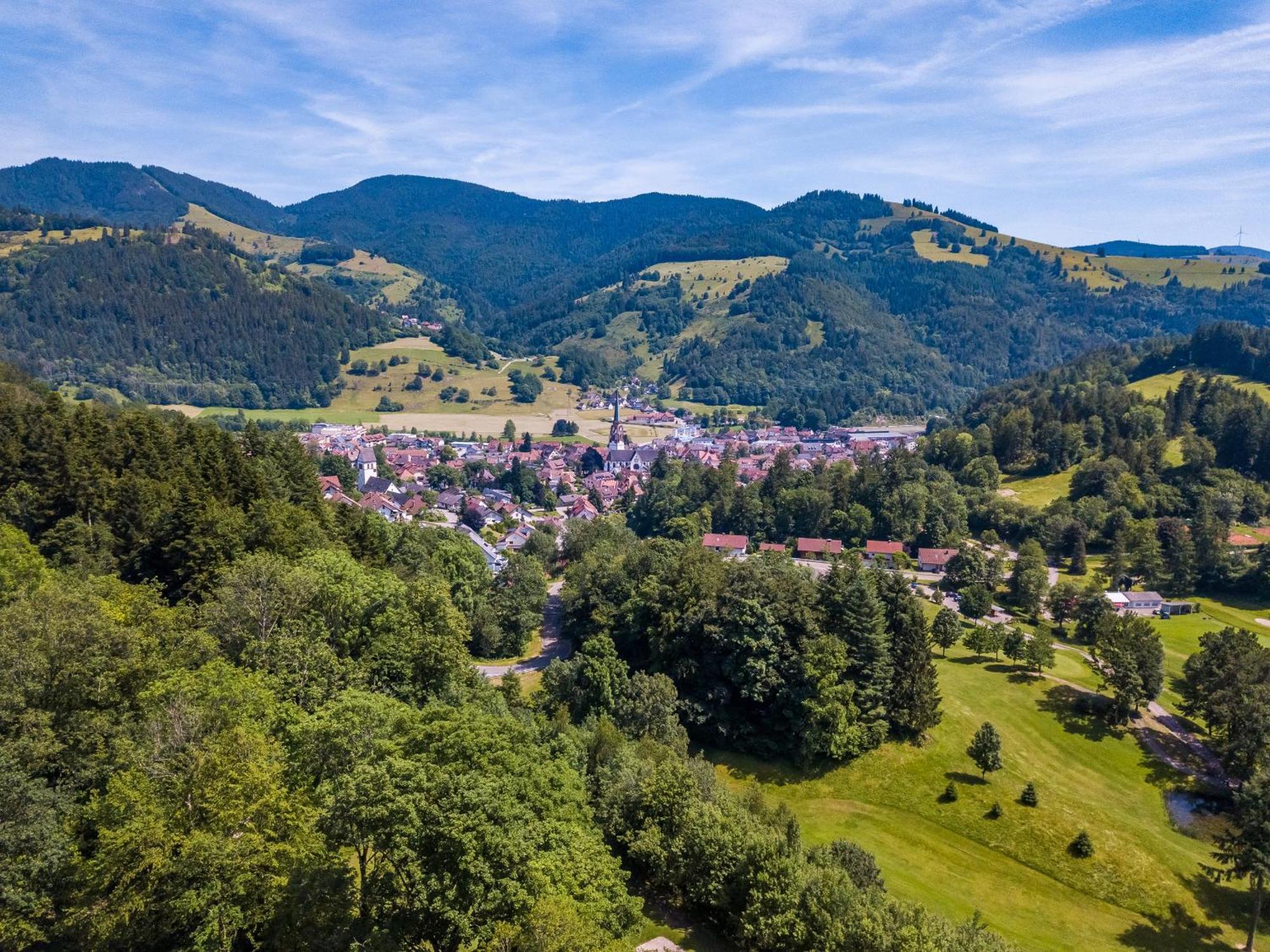 Ferienwohnung Belchenliebe Schonenberg Buitenkant foto